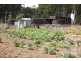 220 Brady’s Lake Road, Bradys Lake TAS 7140