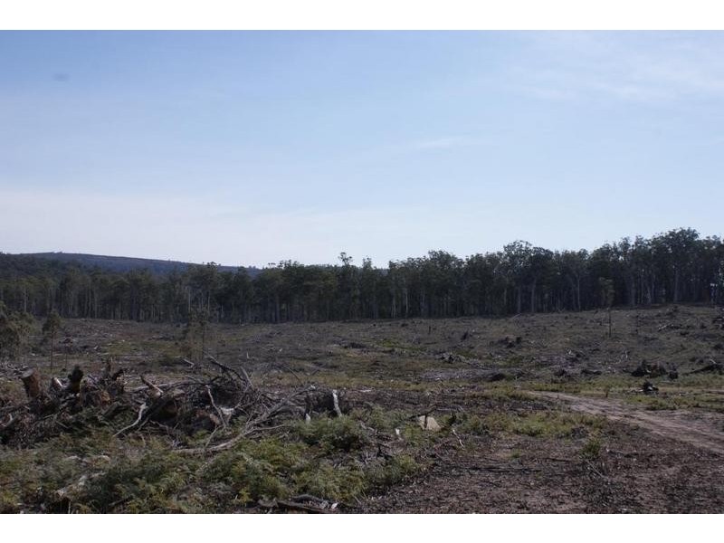 0 Lanes Tier Road, Osterley TAS 7140