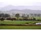 1684 Mole Creek Road, Chudleigh TAS 7304