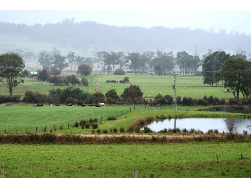 1684 Mole Creek Road, Chudleigh TAS 7304