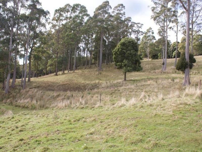 84 Coates Hill Road, Parkham TAS 7304