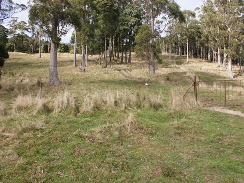 84 Coates Hill Road, Parkham TAS 7304