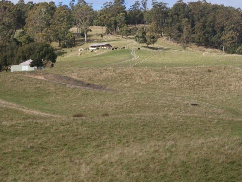 84 Coates Hill Road, Parkham TAS 7304