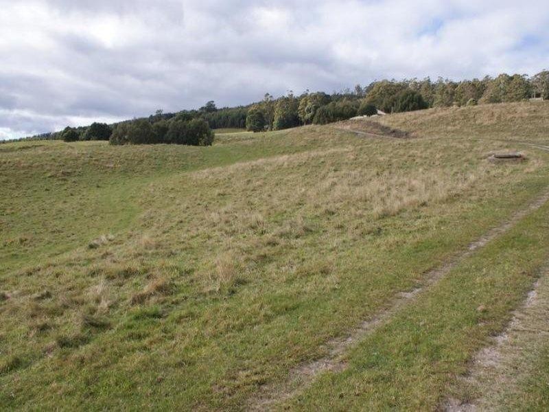 84 Coates Hill Road, Parkham TAS 7304