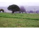 Lot 3, 190 Main Road, Meander TAS 7304
