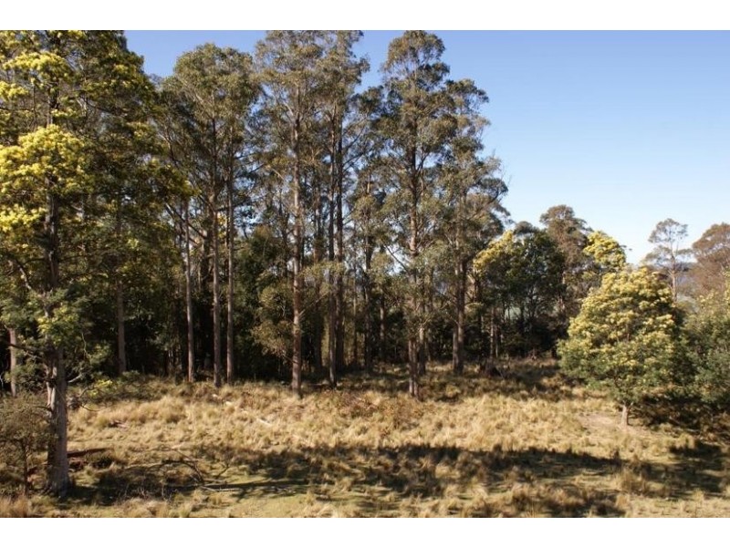 0 Reiffers Road, Meander TAS 7304