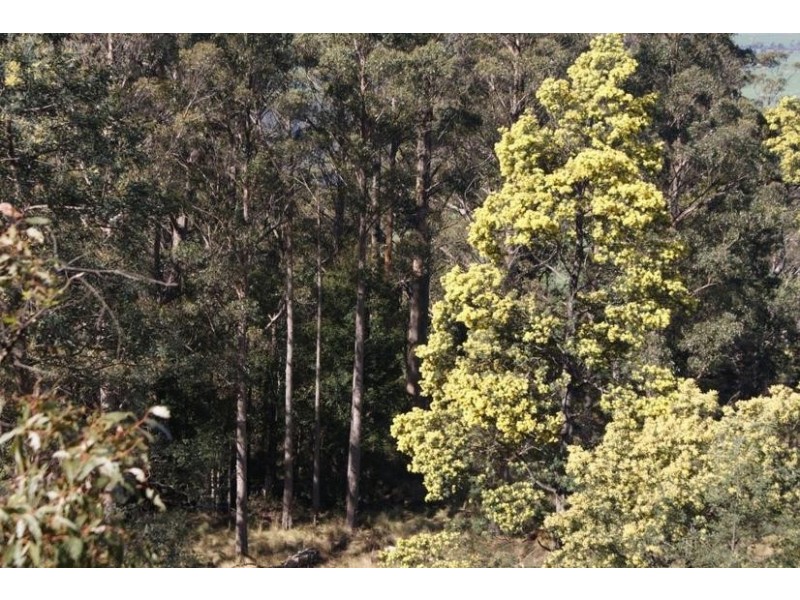 0 Reiffers Road, Meander TAS 7304