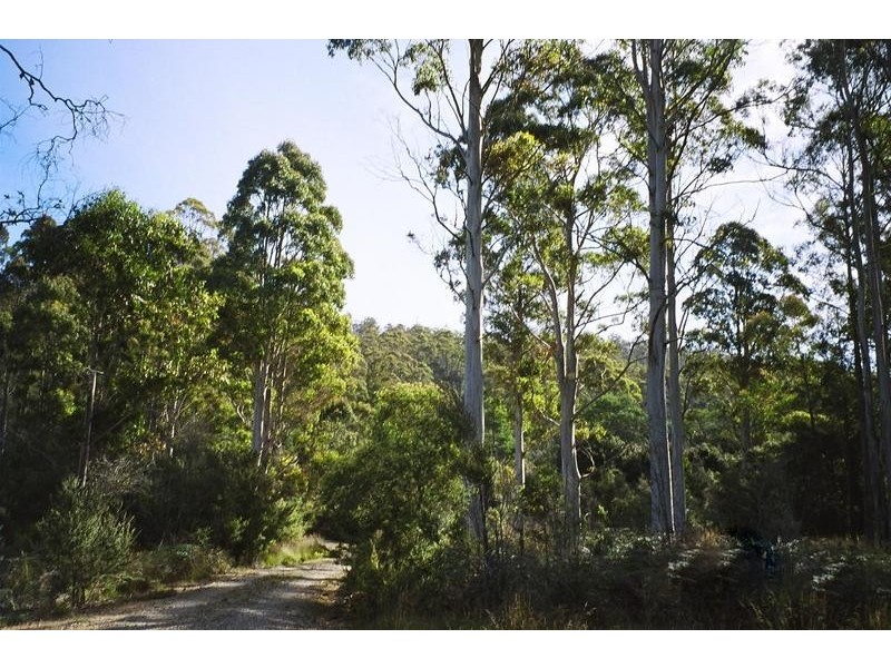 0 Reiffers Road, Meander TAS 7304