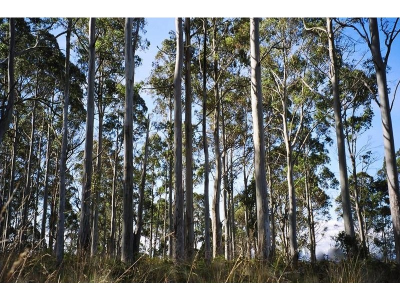 0 Reiffers Road, Meander TAS 7304