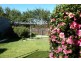 132 Emu Bay Road, Deloraine TAS 7304