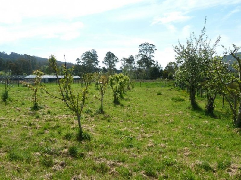 29 Morrison Street, Kimberley TAS 7304
