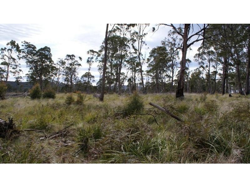 . Lyell Highway, Ouse TAS 7140