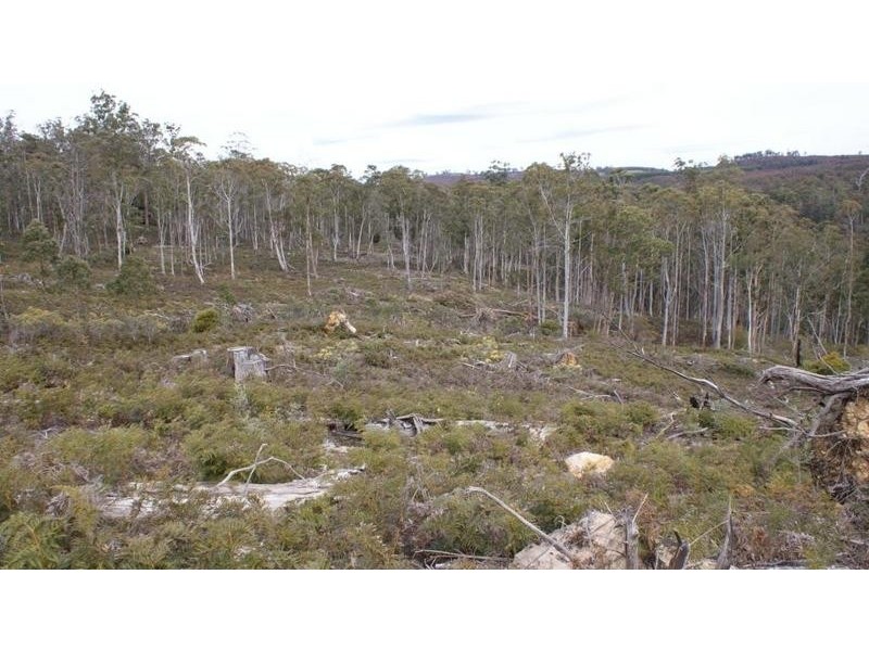 . Pelham Road, Elderslie TAS 7030