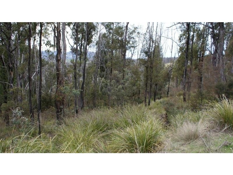 . Horners Road, Elderslie TAS 7030