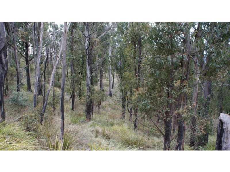 . Horners Road, Elderslie TAS 7030