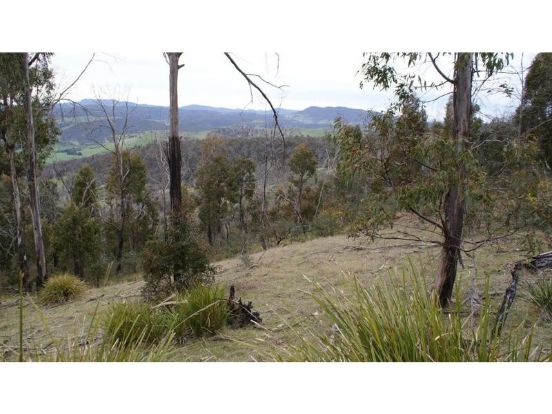 . Horners Road, Elderslie TAS 7030