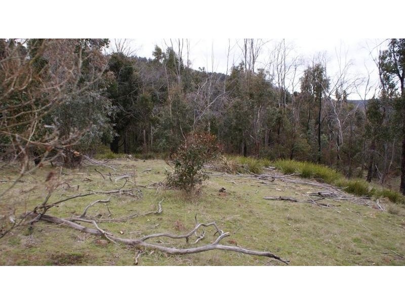 . Horners Road, Elderslie TAS 7030