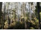 . Dynans Bridge Road, Weegena TAS 7304