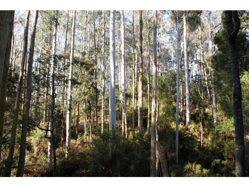 . Dynans Bridge Road, Weegena TAS 7304