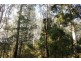 . Dynans Bridge Road, Weegena TAS 7304