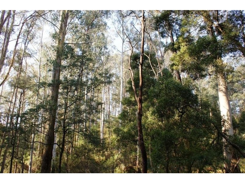 . Dynans Bridge Road, Weegena TAS 7304