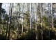 . Dynans Bridge Road, Weegena TAS 7304