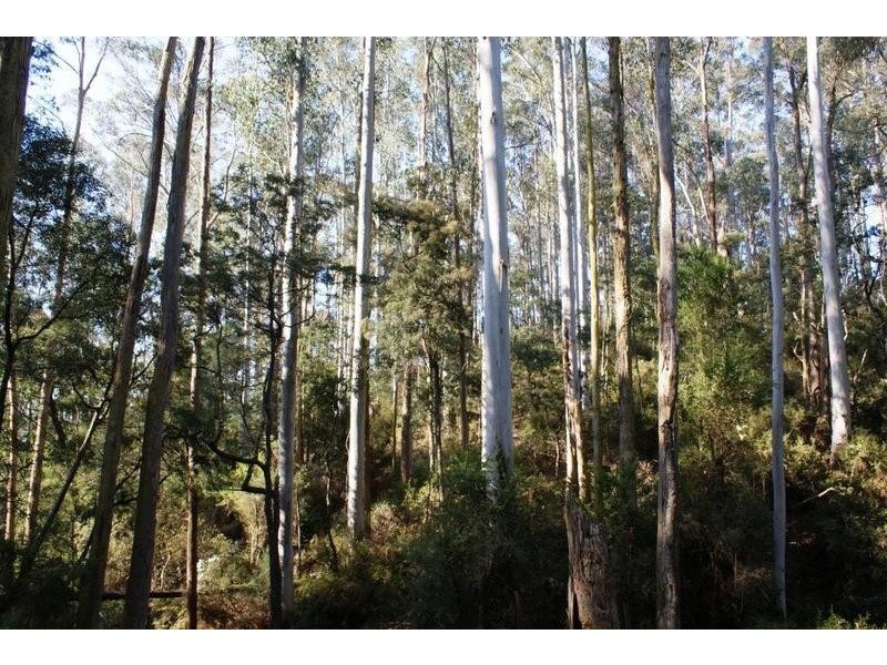 . Dynans Bridge Road, Weegena TAS 7304