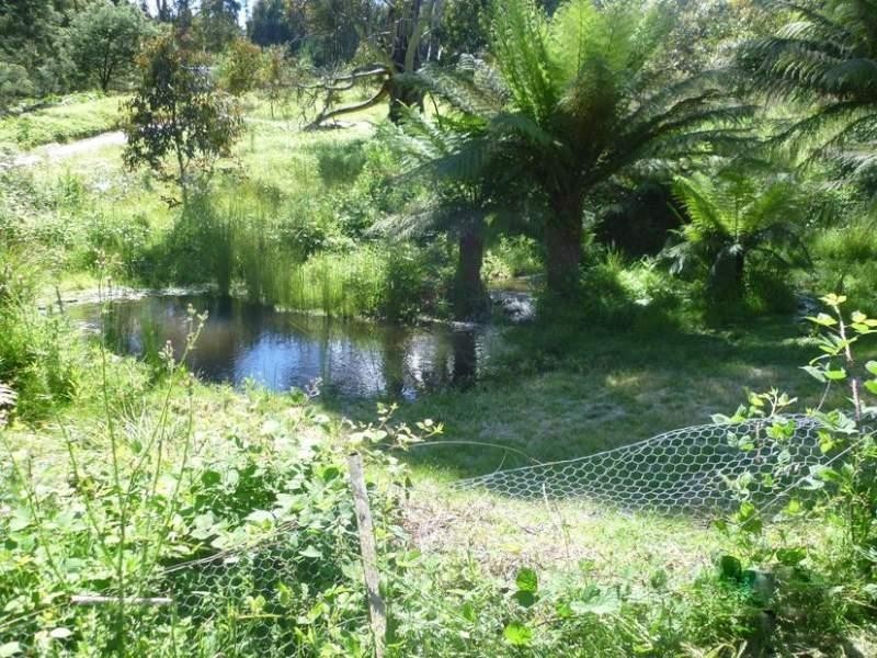 40 Youd’s Road, Golden Valley TAS 7304