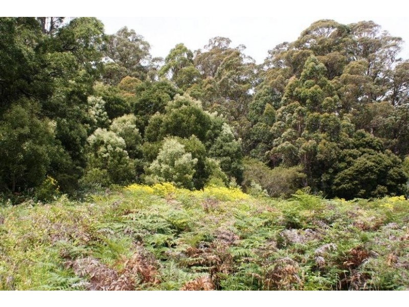 0 Bonney Street, Elizabeth Town TAS 7304