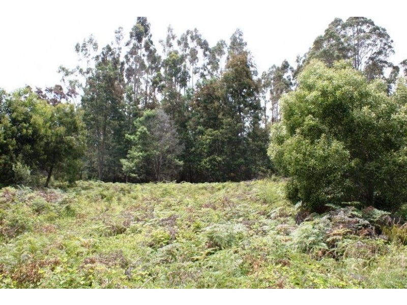 0 Bonney Street, Elizabeth Town TAS 7304