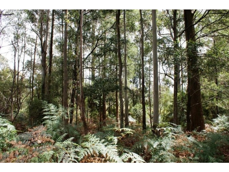 0 Bonney Street, Elizabeth Town TAS 7304