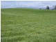 5093 Windsor Lodge Bass Highway, Deloraine TAS 7304