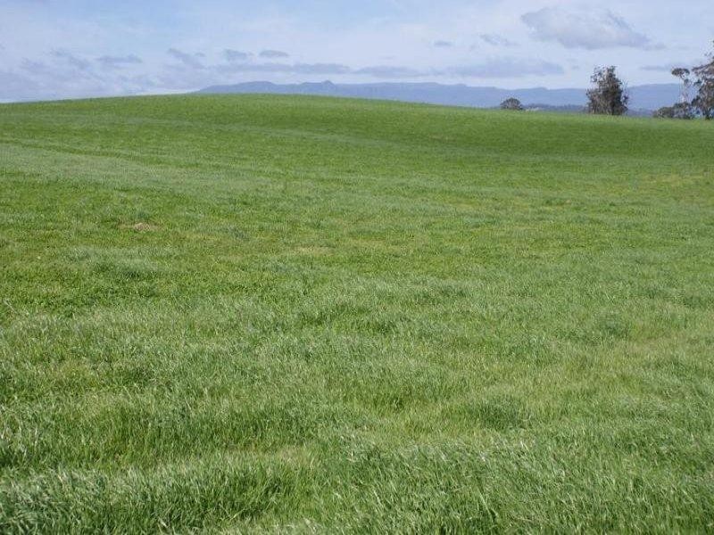 5093 Windsor Lodge Bass Highway, Deloraine TAS 7304