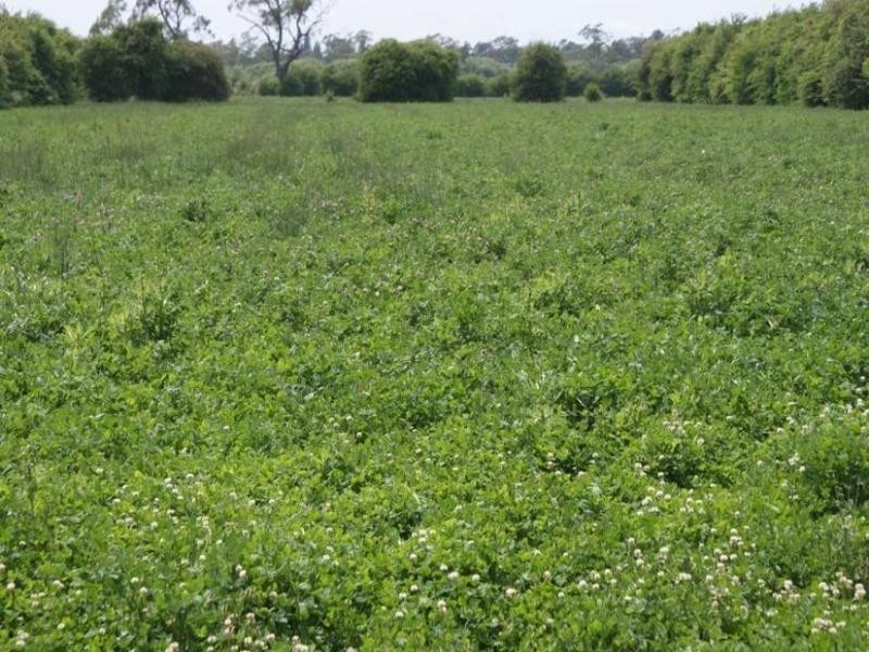 167 Mole Creek Road, Deloraine TAS 7304