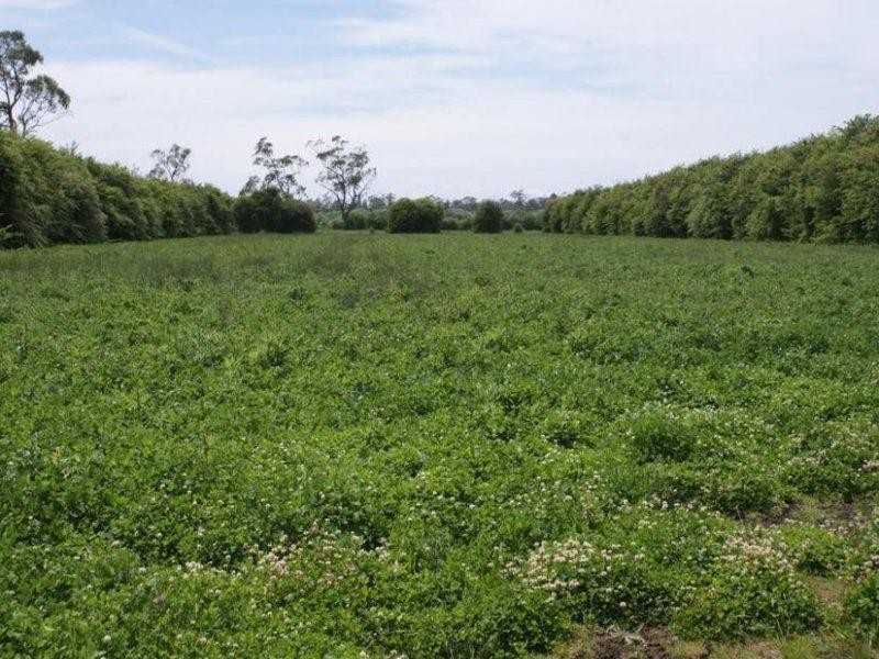 167 Mole Creek Road, Deloraine TAS 7304