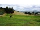 74 Marshalls Road, Nook TAS 7306
