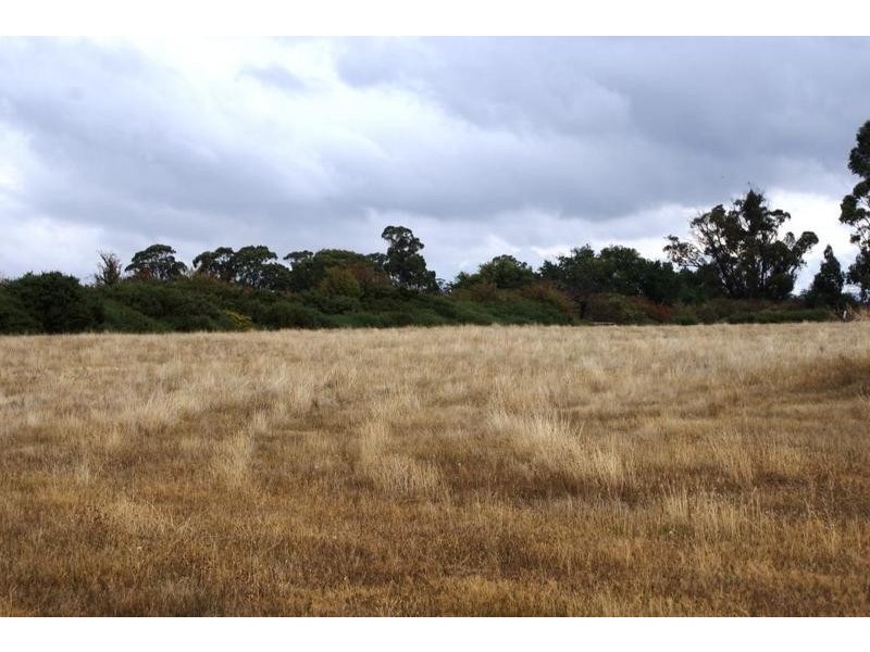 0 Ritchie Street, Westbury TAS 7303