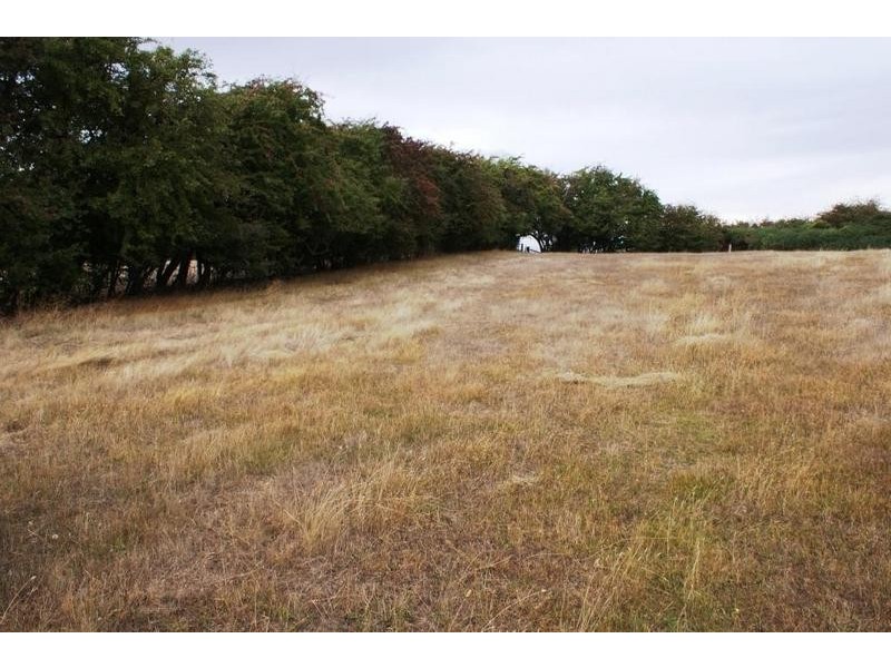 0 Ritchie Street, Westbury TAS 7303