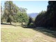 478 Union Bridge Road, Mole Creek TAS 7304