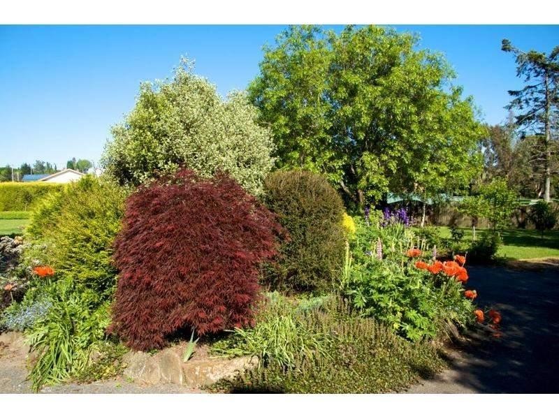 44A Grigg Street, Deloraine TAS 7304