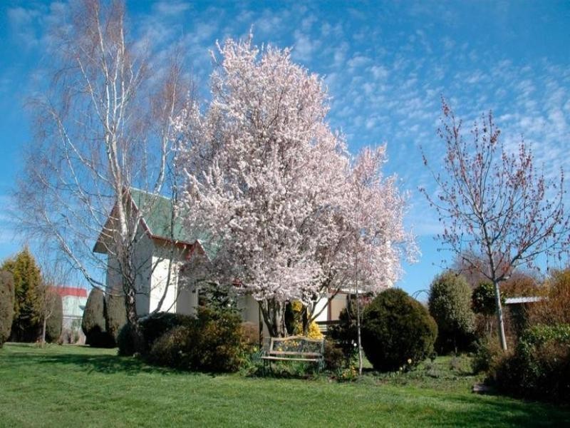 44A Grigg Street, Deloraine TAS 7304