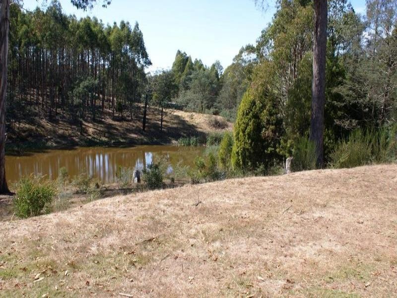 340 Quamby Brook Road, Quamby Brook TAS 7304