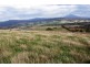 3797 Meander Valley Road, Exton TAS 7303