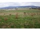 3797 Meander Valley Road, Exton TAS 7303