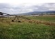 3797 Meander Valley Road, Exton TAS 7303