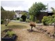 1 Burnett Street, Chudleigh TAS 7304