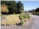 31 Union Bridge Road, Mole Creek TAS 7304