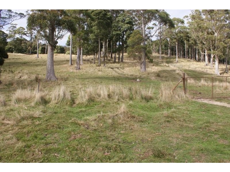 84 Coates Hill Road, Deloraine TAS 7304