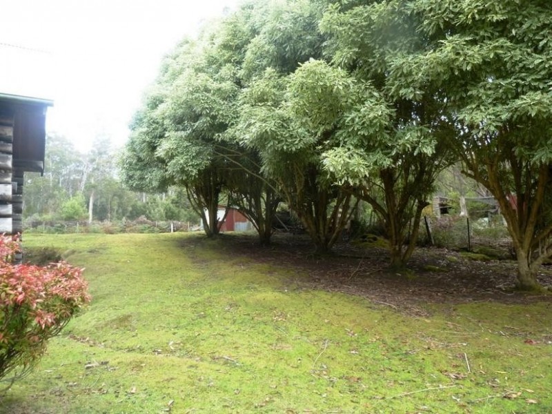 531 Larcombes Road, Reedy Marsh TAS 7304
