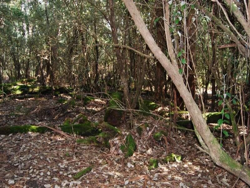 00 Western Creek Road, Western Creek TAS 7304